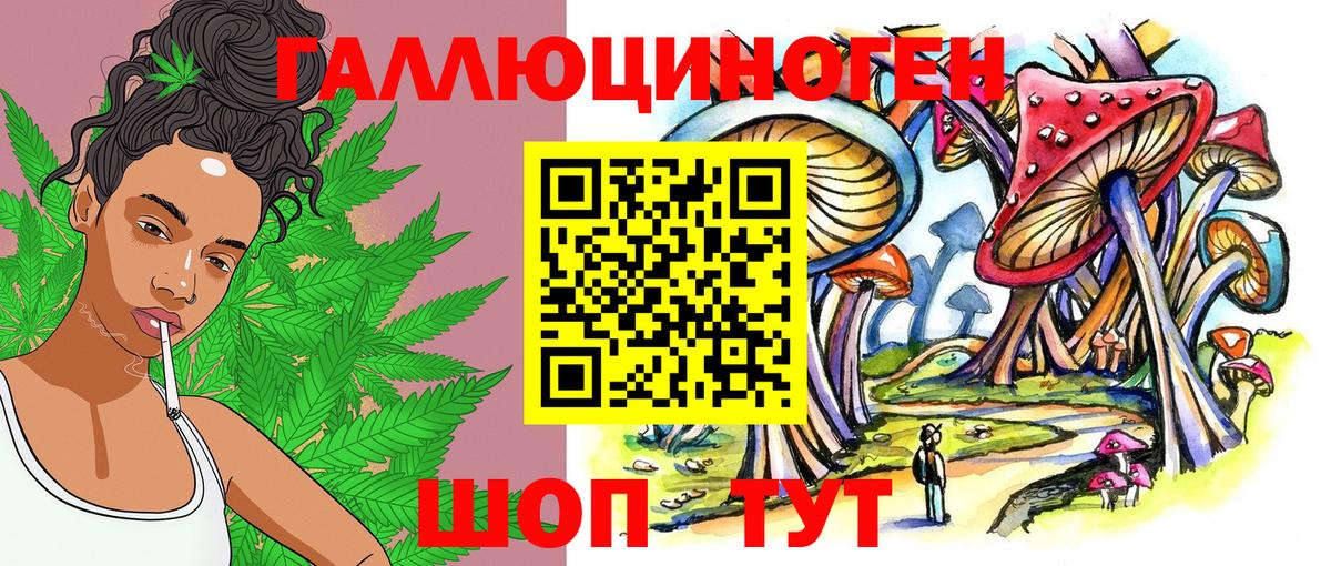 Вологда  Псилоцибиновые грибы Psilocybe  Вход с VPN 